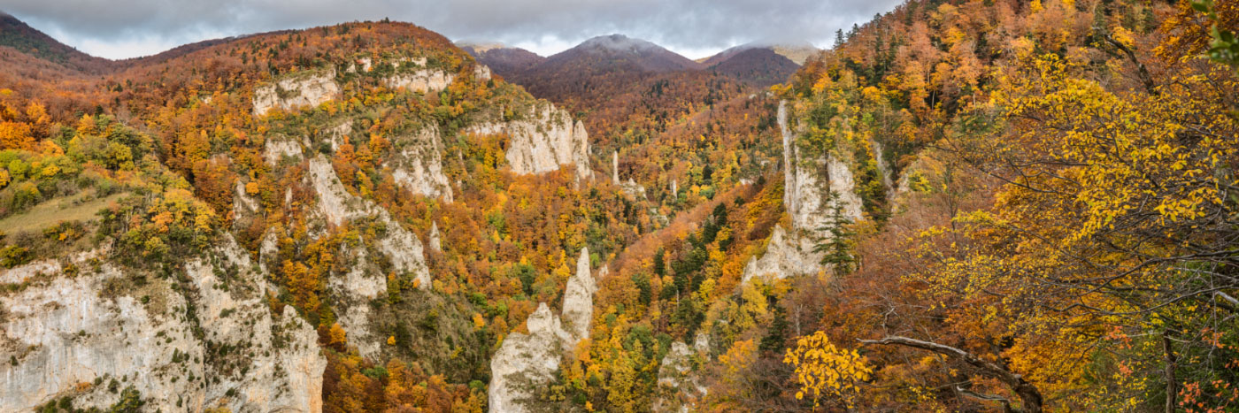 Herve Sentucq - Grande Combe, forêt du Massif de Saou