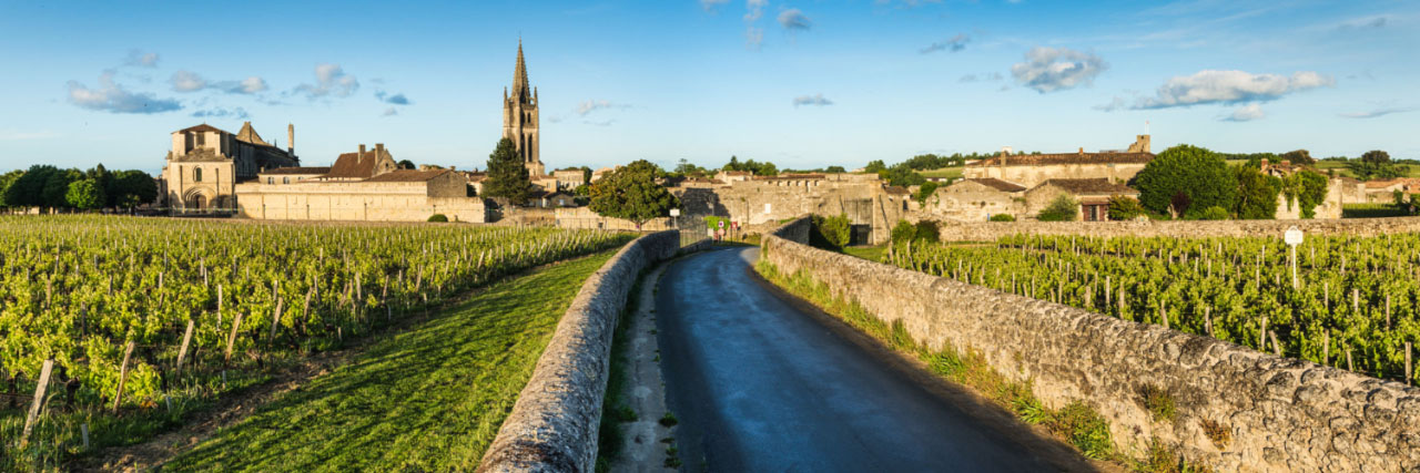 Herve Sentucq - Vignes de Saint-Emilion