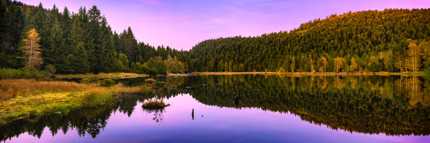 Herve Sentucq - Lac tourbière de Lispach, massif des Vosges