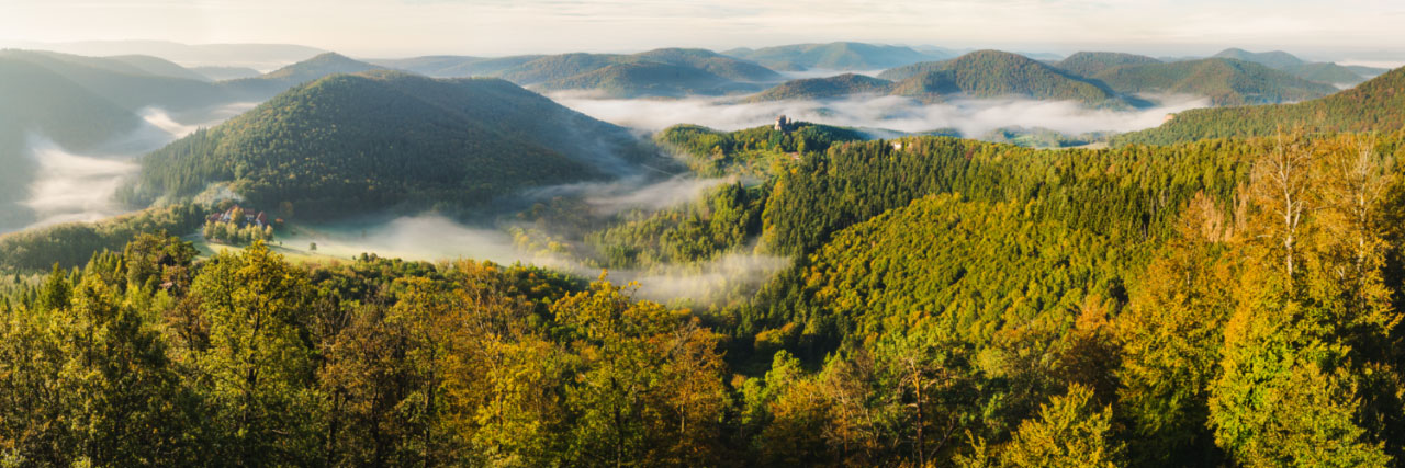 Herve Sentucq - Brume matinale sur les Vosges du Nord et le château de Fleckeinstein