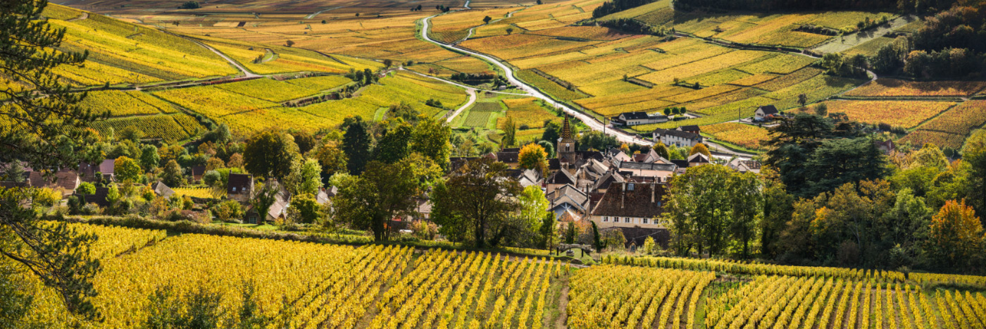 Herve Sentucq - Vue de Pernand-Vergelesses et de son vignoble de la côte de Beaune