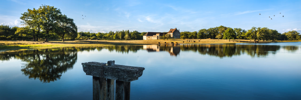 Herve Sentucq - Etang de Grandeffe, Brenne