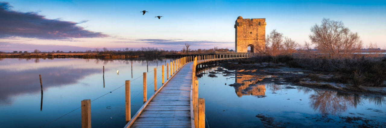 Herve Sentucq - Tour (de guet) Carbonnière, au milieu des étangs de Camargue