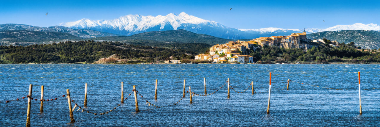 Herve Sentucq - Etang de Bages, en arrière-plan le mont Canigou et les Pyrénées orientales