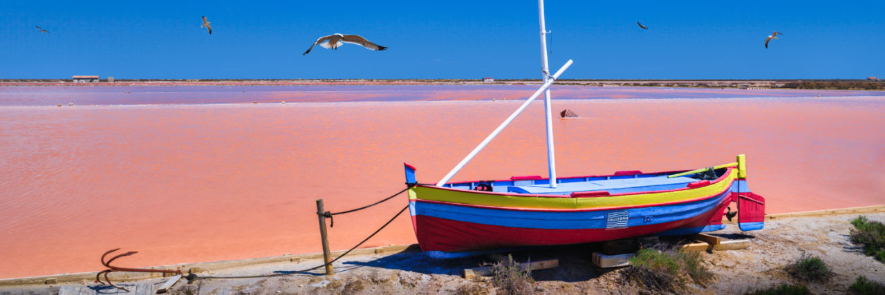 Herve Sentucq - Le Salin de l'île Saint-Martin de Gruissan