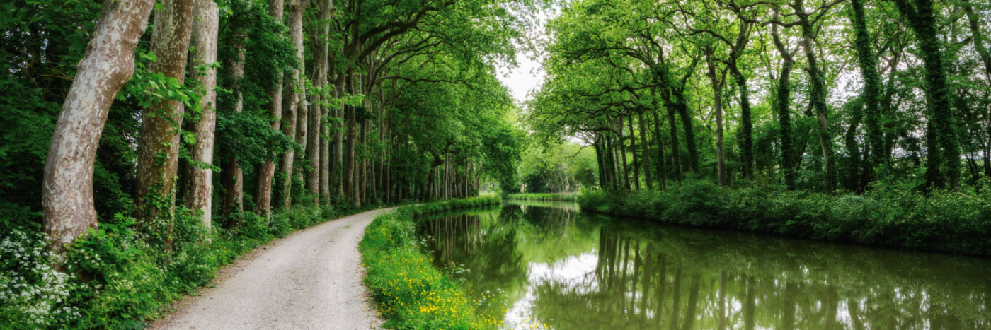 Herve Sentucq - Canal du Midi près de Castelnaudary