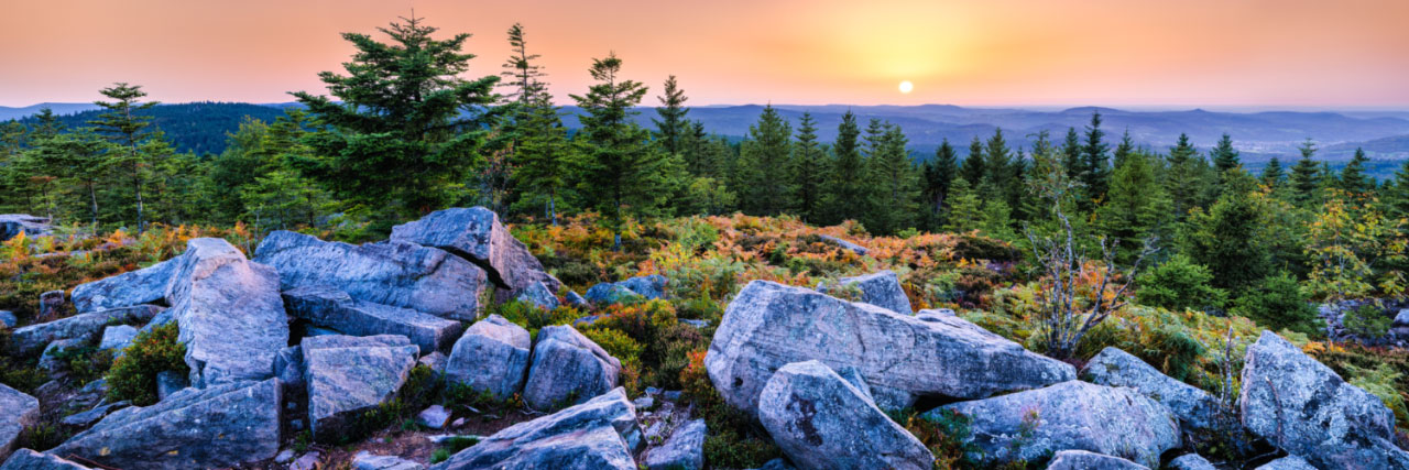 Tête de Nayemont (Vosges), Octobre