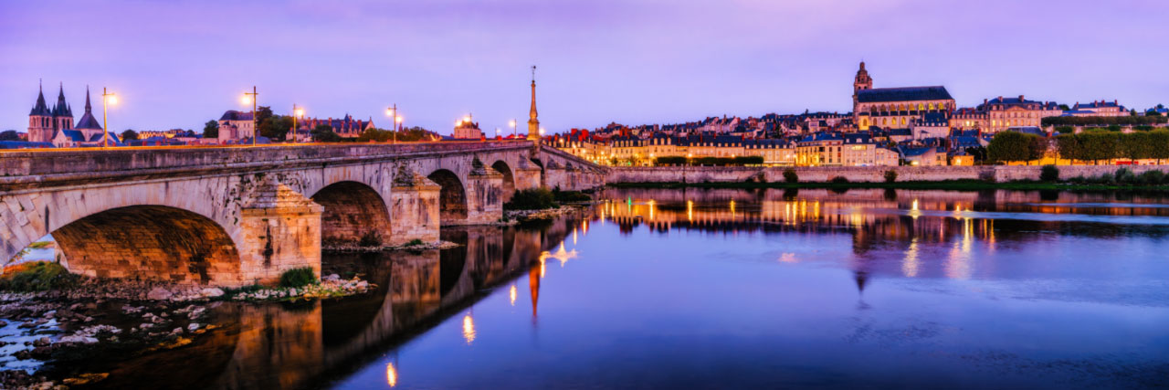 Herve Sentucq - La Loire et la vieille ville de Blois