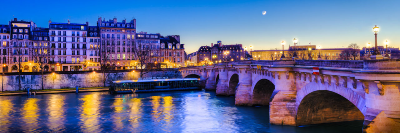 Herve Sentucq - La Seine au Pont Neuf