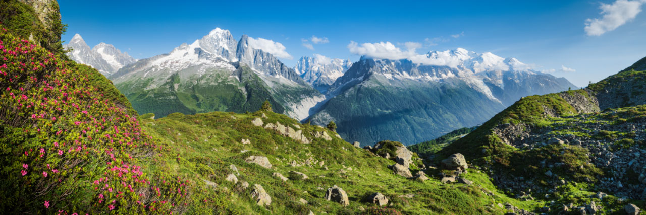 Herve Sentucq - De la Flégère (Massif des Aiguilles Rouges) avec ses rhododendrons, la vue sur la chaine du Mont Blanc