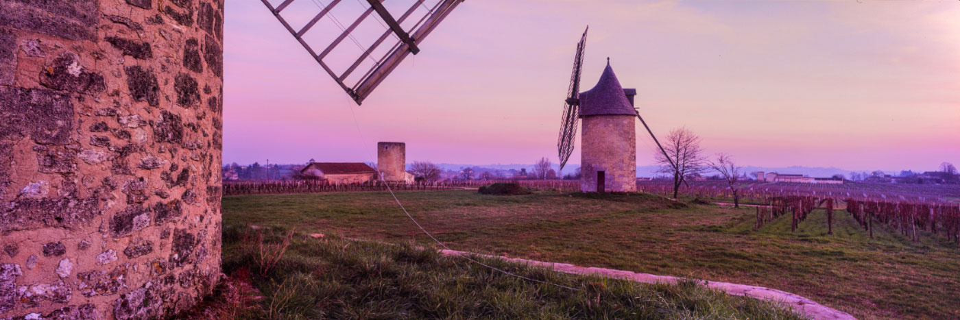 Herve Sentucq - Montagne-Saint-Emilion