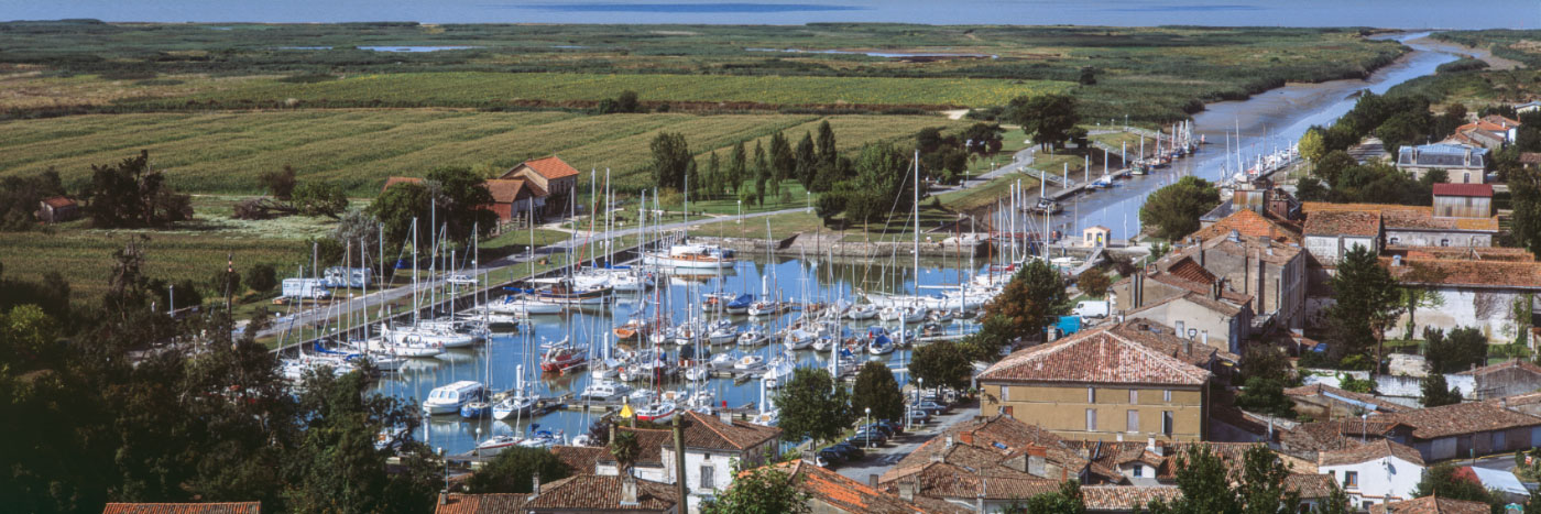 Herve Sentucq - Mortagne-sur-Gironde, côte Atlantique