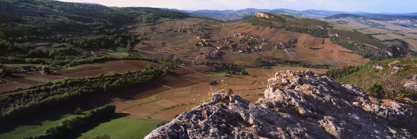 Herve Sentucq - Du Grand Site de la Roche de Solutré, vue sur les vignes