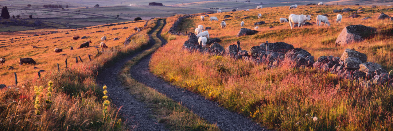 Herve Sentucq - En chemin vers Rieutort, Aubrac