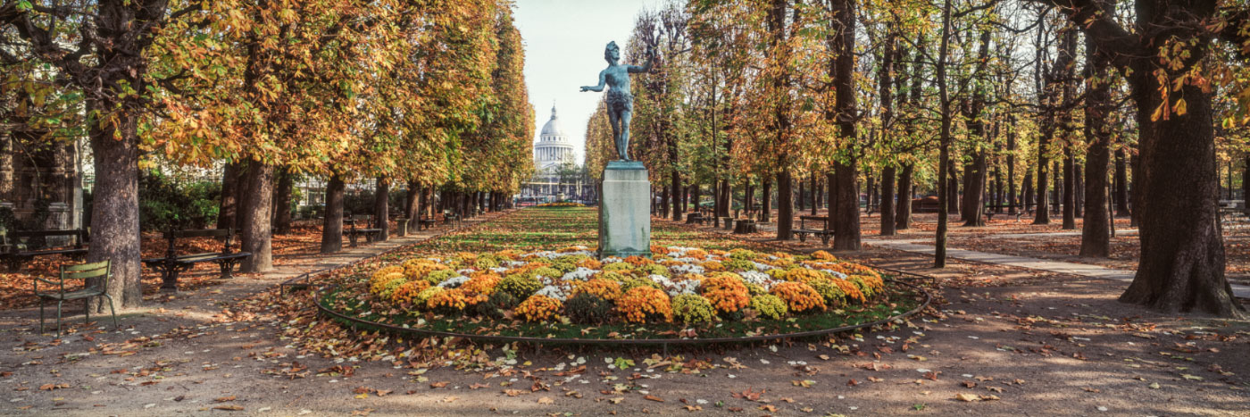 Herve Sentucq - Vue sur le Panthéon depuis le jardin du Luxembourg