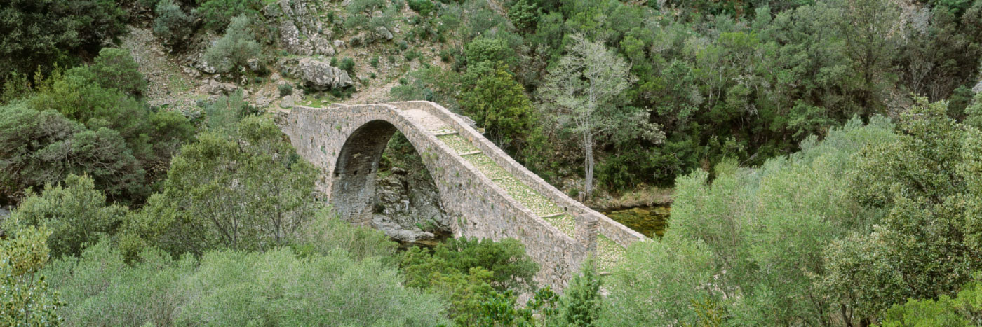 Herve Sentucq - Pont génois d'Ota, dit 'Ponte Vecchiu'