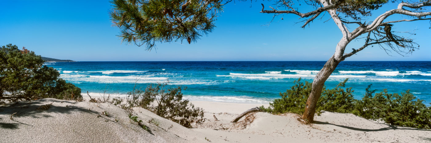 Herve Sentucq - Plage de Saleccia, désert des Agriates