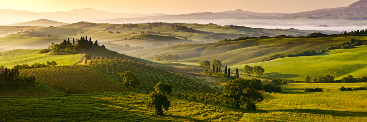 Herve Sentucq - San Quirico d'Orcia